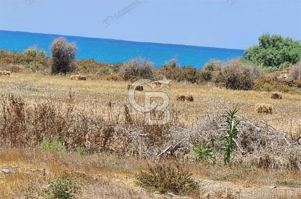 KIBRIS LEFKE DENİZE SIFIR TİCARİ ARSA