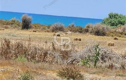 KIBRIS LEFKE DENİZE SIFIR TİCARİ ARSA