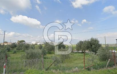 İzmir Kemalpaşa Gökçeyurt Mahallesi'nde Satılık Tarla