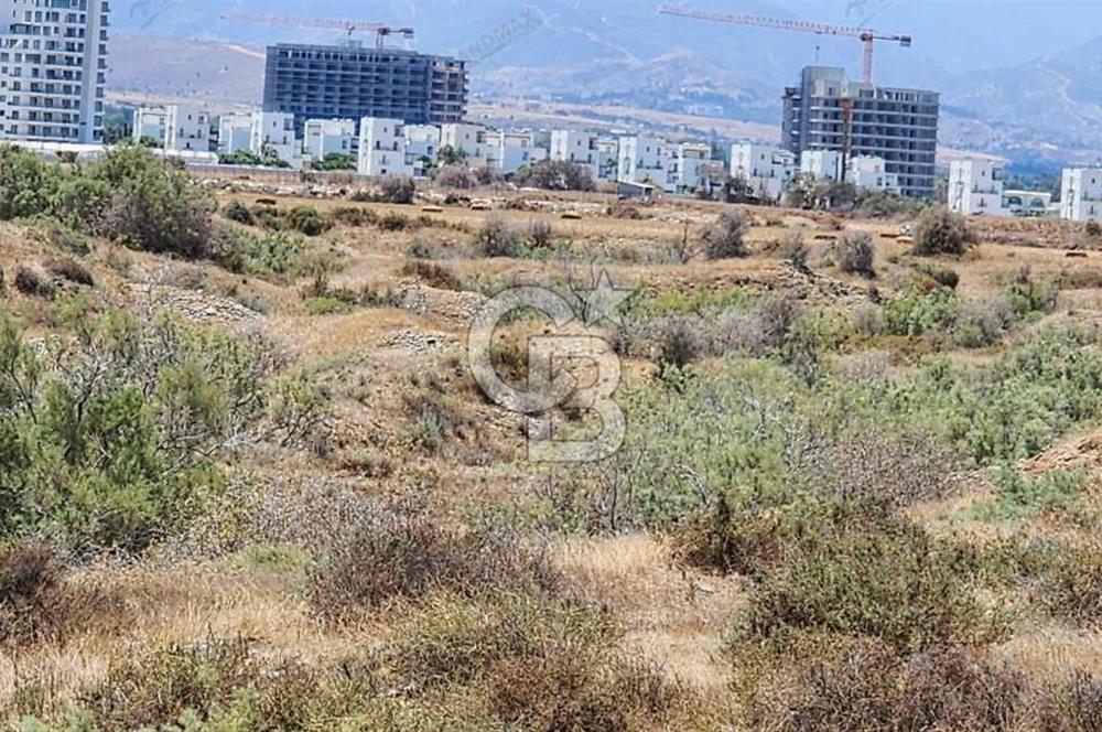 KIBRIS LEFKE DENİZE SIFIR TİCARİ ARSA