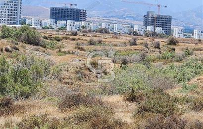 KIBRIS LEFKE DENİZE SIFIR TİCARİ ARSA