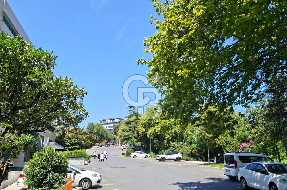 BEŞİKTAŞ BALMUMCU OTOPARKLI BAHÇELİ KURUMSAL KİRALIK MÜSTAKİL TİCARİ BİNA