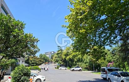 BEŞİKTAŞ BALMUMCU OTOPARKLI BAHÇELİ KURUMSAL KİRALIK MÜSTAKİL TİCARİ BİNA