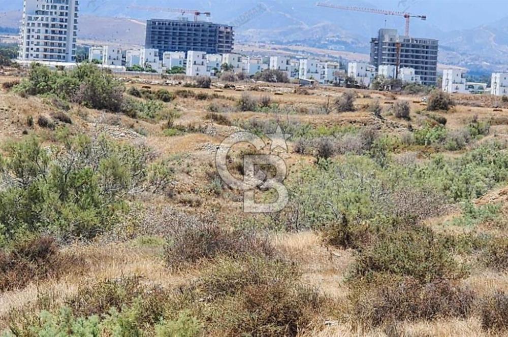 KIBRIS LEFKE DENİZE SIFIR TİCARİ ARSA