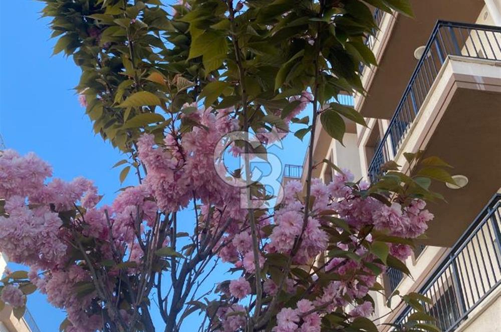 Sancaktepe Sarıgazi mahallesi toki 2+1 kiralık daire