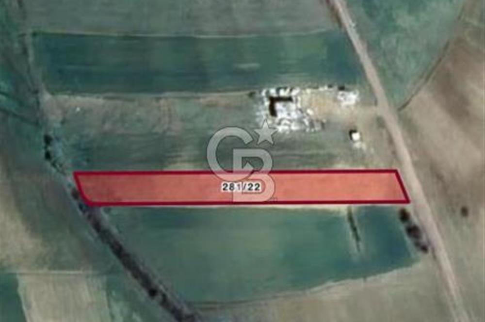 Derince Çavuşlu'da 1.570 m² Satılık Tarla