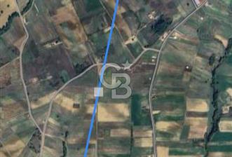 Derince Çavuşlu'da 1.570 m² Satılık Tarla - 8 - 362872