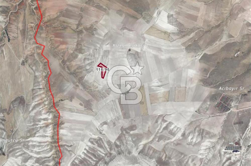 CB ELİTTEN GÜDÜL GÜNEYCE TERMAL BÖLGEYE ÇOK YAKIN 5464 M² TARLA