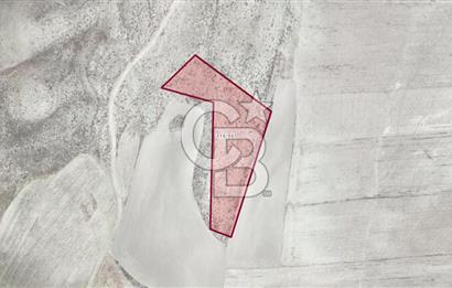 CB ELİTTEN GÜDÜL GÜNEYCE TERMAL BÖLGEYE ÇOK YAKIN 5464 M² TARLA