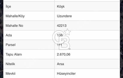 Aydın Köşkte Villa Yapımına Uygun