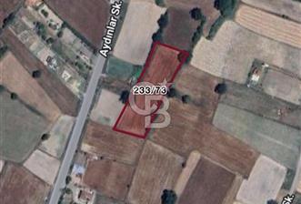 Sayalar köyü satılık tarla - 1 - 362917