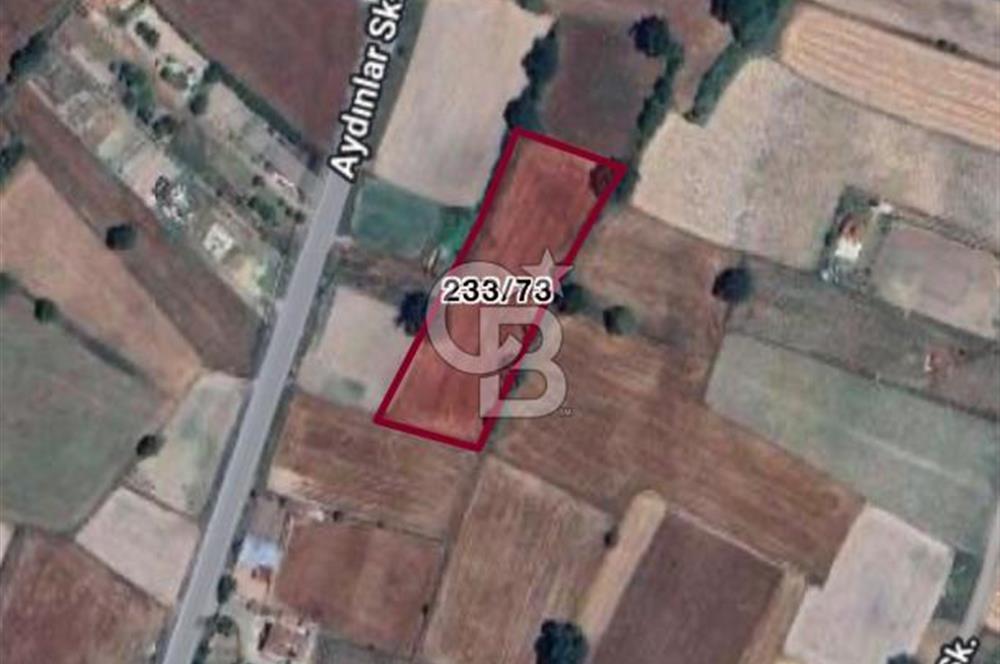 Sayalar köyü satılık tarla