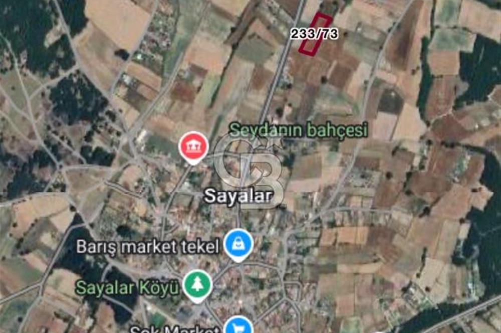 Sayalar köyü satılık tarla