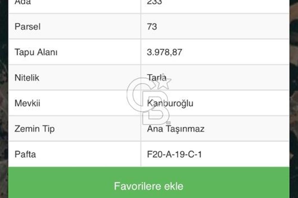 Sayalar köyü satılık tarla