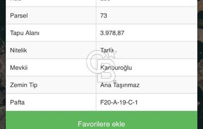 Sayalar köyü satılık tarla
