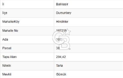 Balıkkesir Dursunbey Alagüney 1348 M2 Satılık Tarla