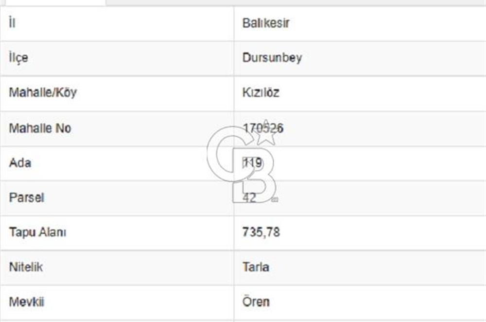 Balıkkesir Dursunbey Hindikler 204 M2 Satılık Tarla