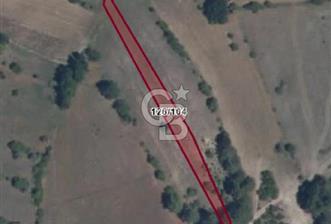 Balıkkesir Dursunbey Alagüney 1348 M2 Satılık Tarla - 1 - 362940