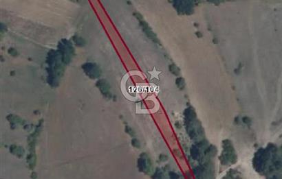 Balıkkesir Dursunbey Alagüney 1348 M2 Satılık Tarla