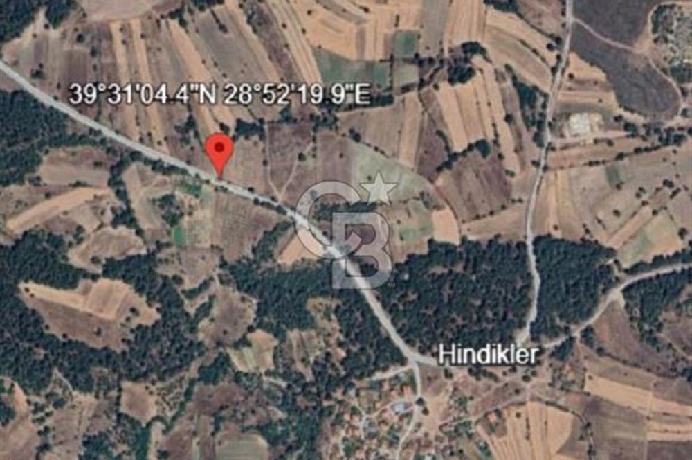 Balıkkesir Dursunbey Hindikler 204 M2 Satılık Tarla