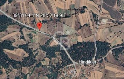 Balıkkesir Dursunbey Hindikler 204 M2 Satılık Tarla