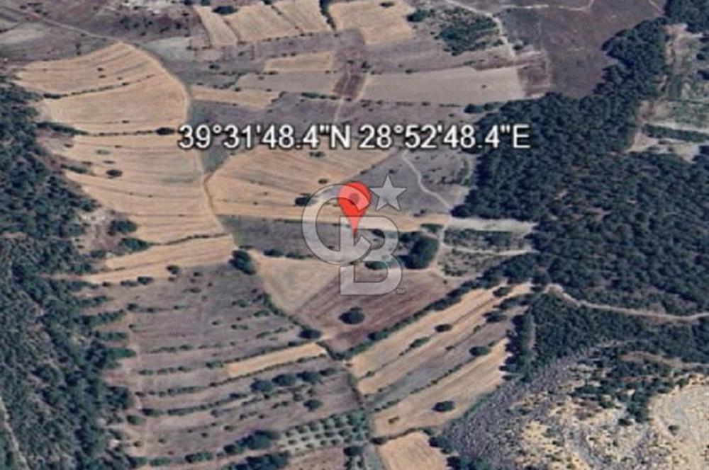 Balıkkesir Dursunbey Alagüney 1348 M2 Satılık Tarla