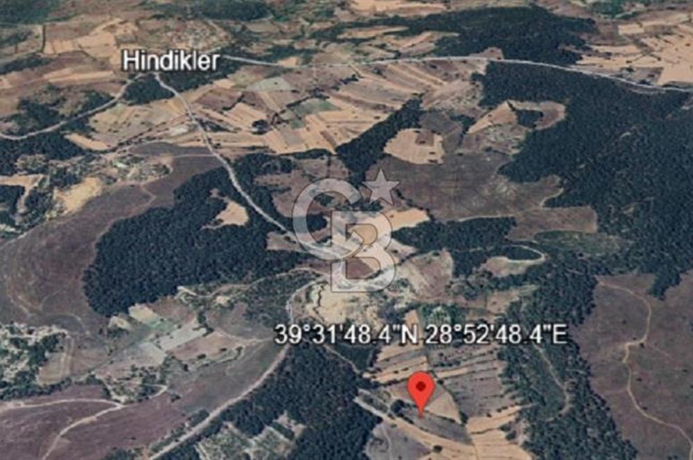 Balıkkesir Dursunbey Alagüney 1348 M2 Satılık Tarla