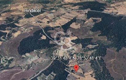 Balıkkesir Dursunbey Alagüney 1348 M2 Satılık Tarla