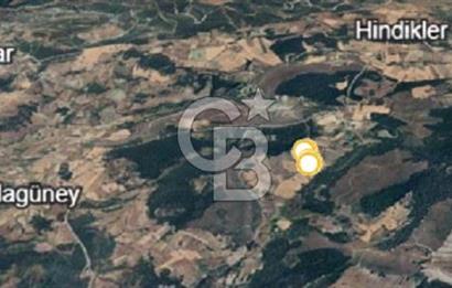 Balıkkesir Dursunbey Alagüney 1348 M2 Satılık Tarla