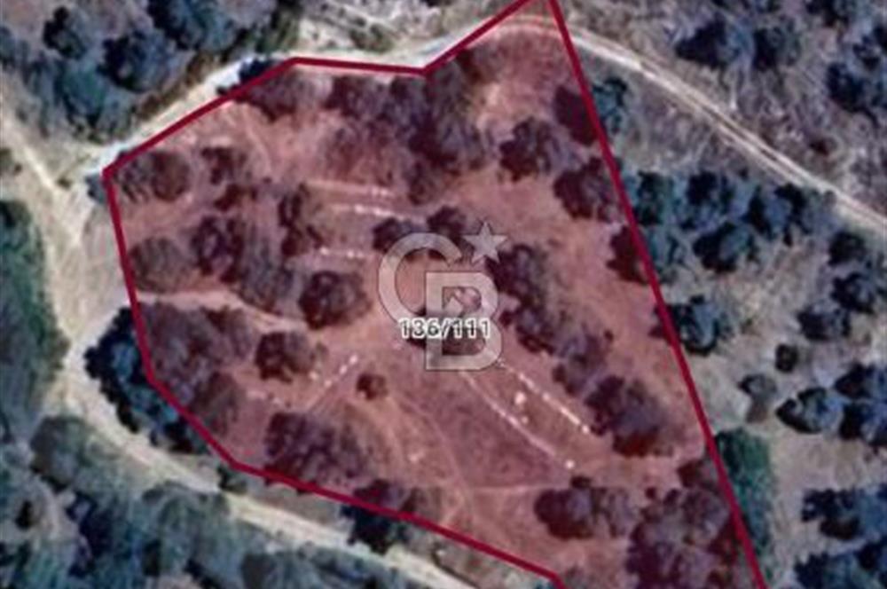 Aydın Köşkte Villa Yapımına Uygun