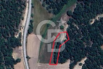 kütahya merkez yaylababa yatırımlık tarla - 1 - 362894