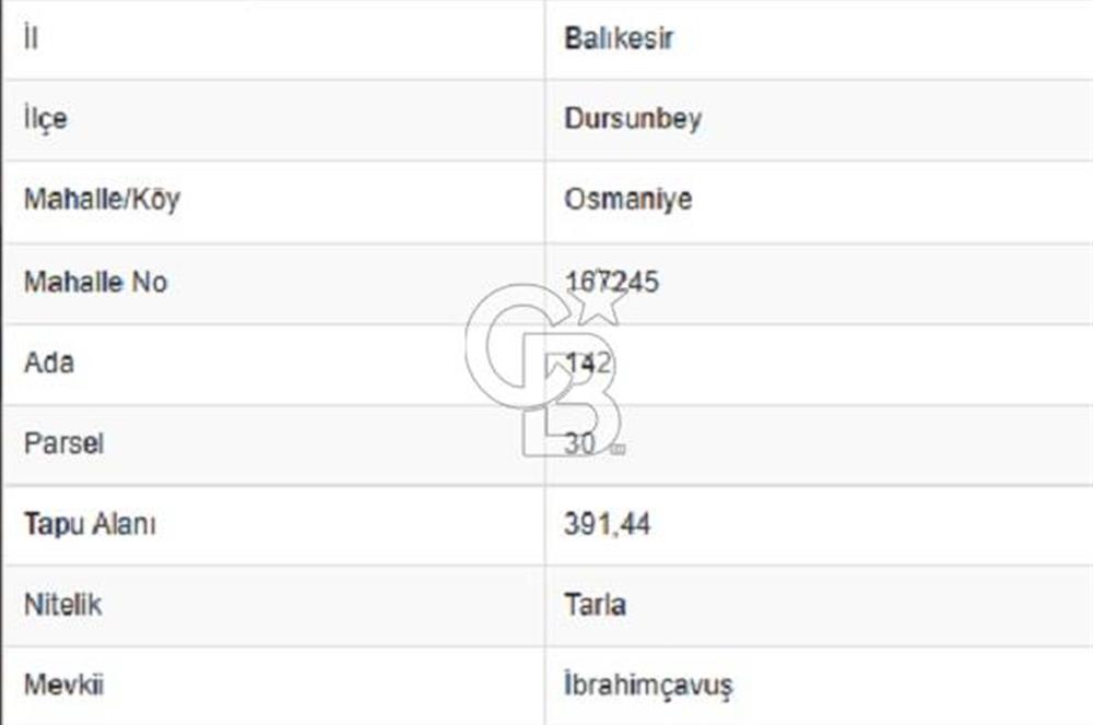 Balıkkesir Dursunbey Kızılöz 735 M2 Satılık Tarla