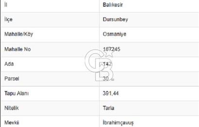 Balıkkesir Dursunbey Osmaniye 391 M2 Satılık Tarla