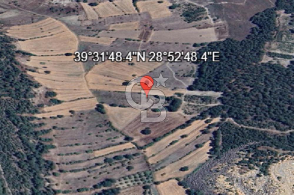 Balıkkesir Bigadiç Meyvalı 840 M2 Satılık Tarla