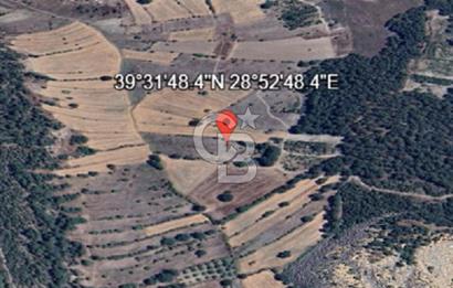 Balıkkesir Bigadiç Meyvalı 840 M2 Satılık Tarla