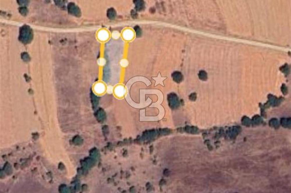 Balıkkesir Dursunbey Kızılöz 735 M2 Satılık Tarla