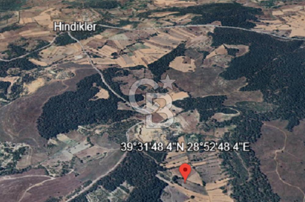 Balıkkesir Bigadiç Meyvalı 840 M2 Satılık Tarla