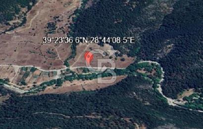 Balıkkesir Dursunbey Osmaniye 391 M2 Satılık Tarla