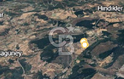 Balıkkesir Bigadiç Meyvalı 840 M2 Satılık Tarla