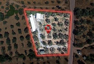 Cunda'da Ruhsatlı Taş Evli Satılık 3.120 m² Zeytinlik - 2 - 362955
