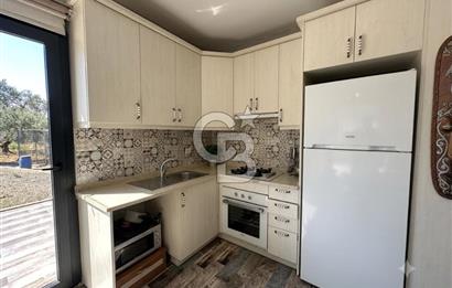 Cunda'da Ruhsatlı Taş Evli Satılık 3.120 m² Zeytinlik