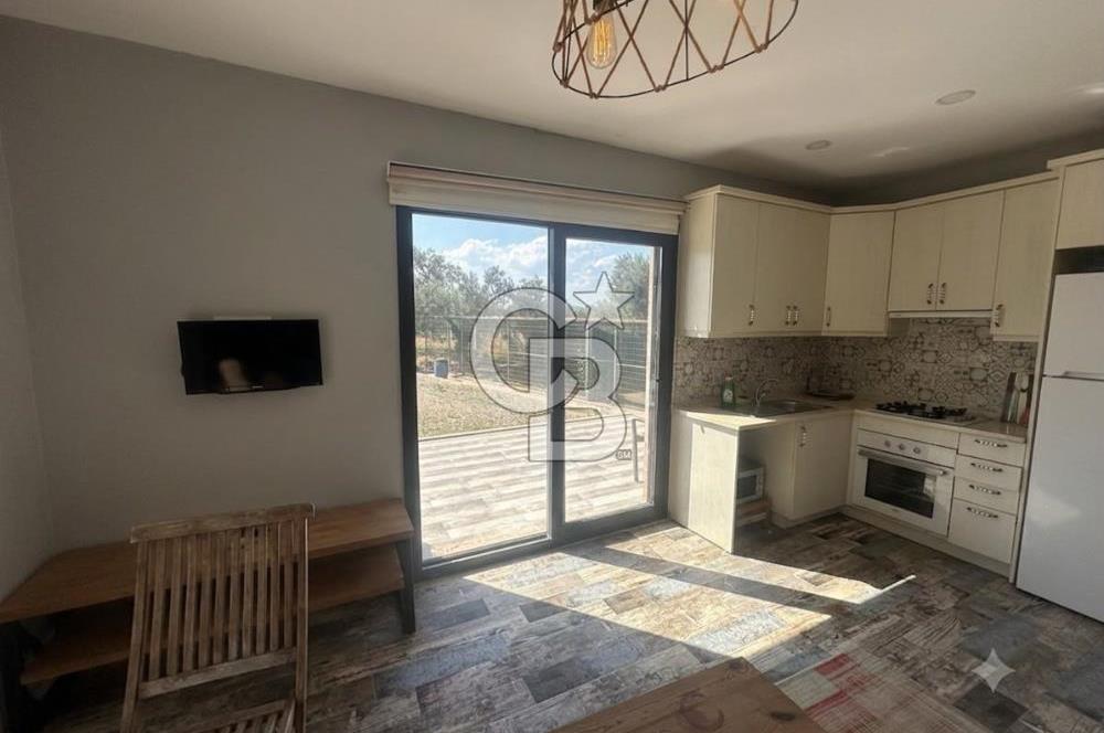 Cunda'da Ruhsatlı Taş Evli Satılık 3.120 m² Zeytinlik