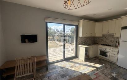 Cunda'da Ruhsatlı Taş Evli Satılık 3.120 m² Zeytinlik