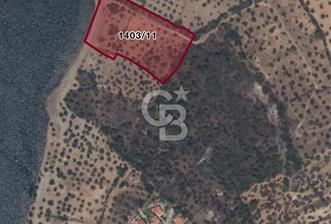 BALIKESİR AYVALIK 9077 M2 DENİZE SIFIR ARSA CB-PH DEN - 1 - 362978