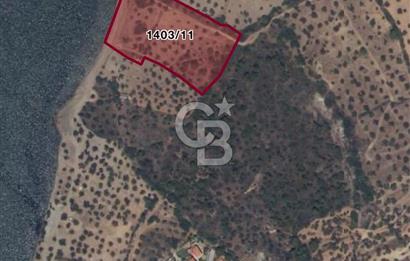 BALIKESİR AYVALIK 9077 M2 DENİZE SIFIR ARSA CB-PH DEN
