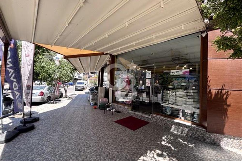FORUM BORNOVA YAKINI MARKA TESCİLLİ PET SHOP