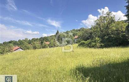 FIRSAT ARSA KOCAELİNİN GÖZBEBEGİ MAŞUKİYE DE VİLLA İMARLI