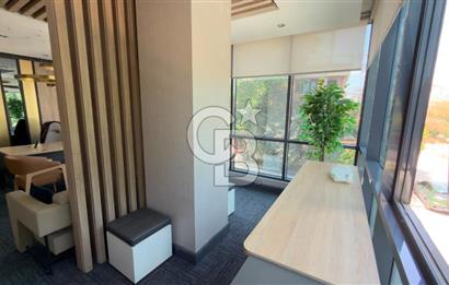 BALGAT MENEKŞE BUSİNESS ARA KAT 2+1 MOBİLYALI SATILIK OFİS