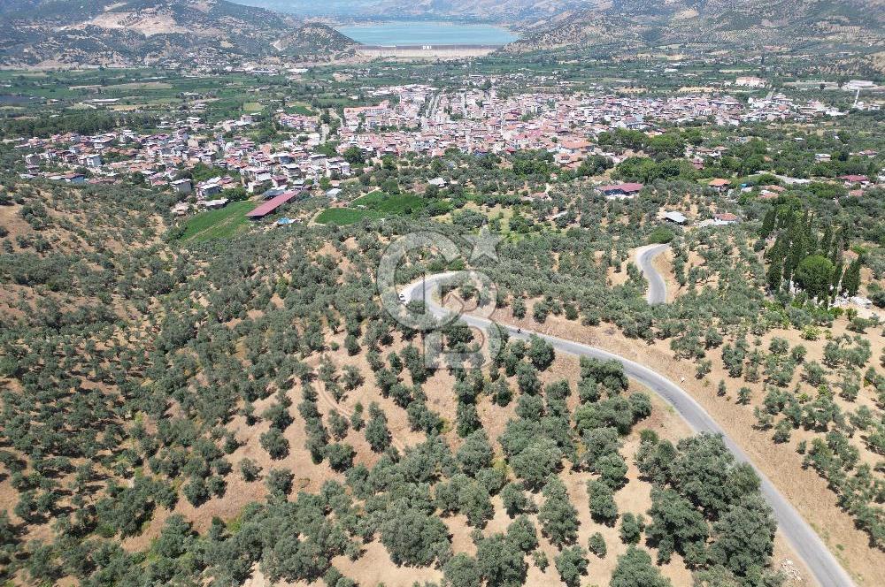 BEYDAĞ’DA ŞEHİR VE BARAJ MANZARALI SATILIK MÜSTAKİL ZEYTİNLİK