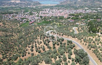 BEYDAĞ’DA ŞEHİR VE BARAJ MANZARALI SATILIK MÜSTAKİL ZEYTİNLİK